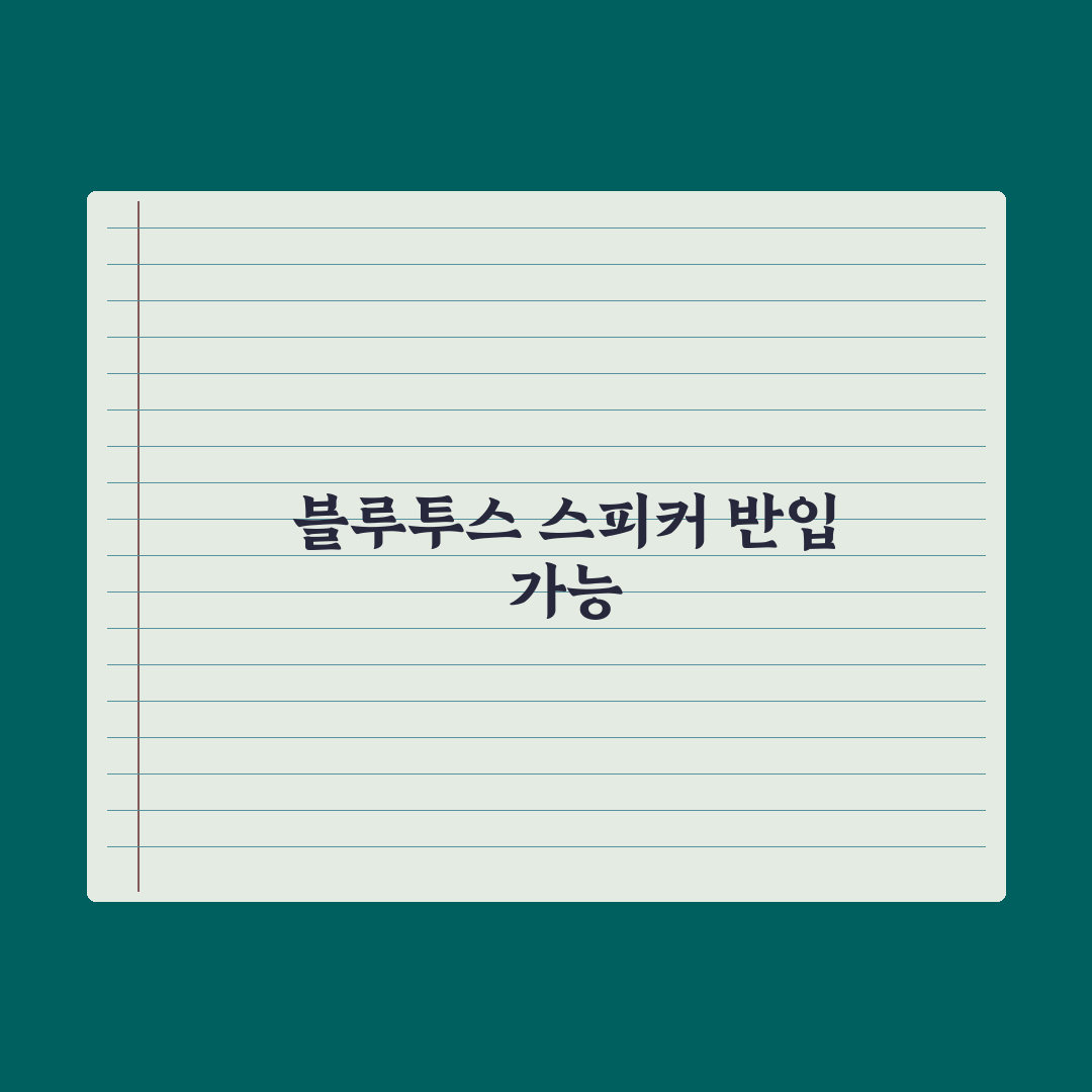 블루투스 스피커 비행기 반입 꿀팁 정리