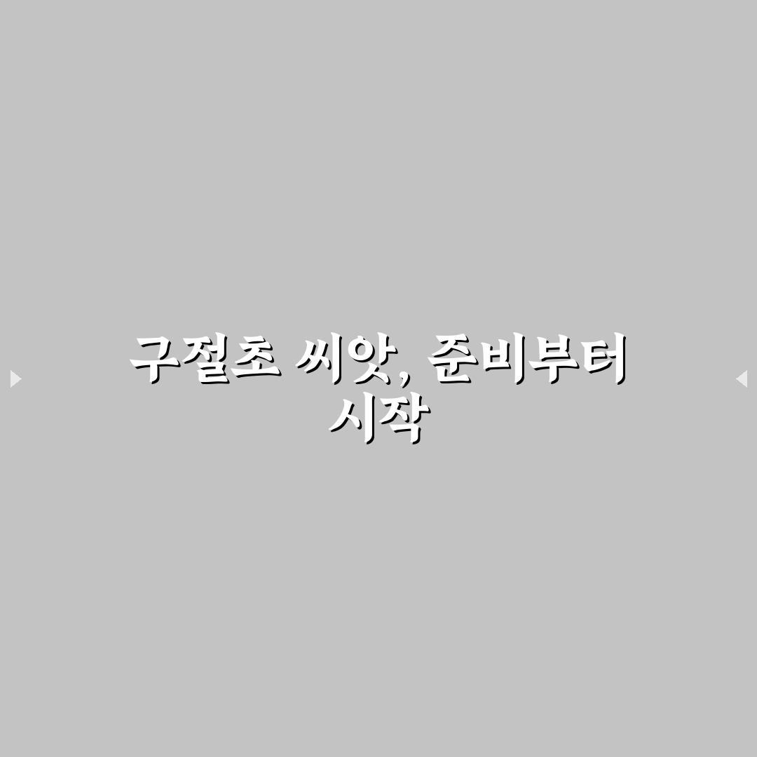 구절초 씨앗 파종 방법과 꿀팁 쉽게 알려드려요