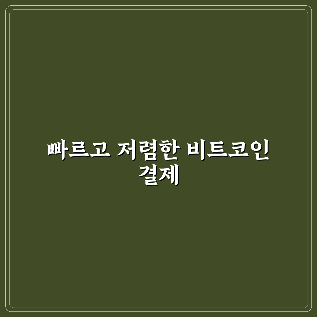 비트코인 라이트닝 네트워크 사용법 초보자를 위한 꿀팁 정리