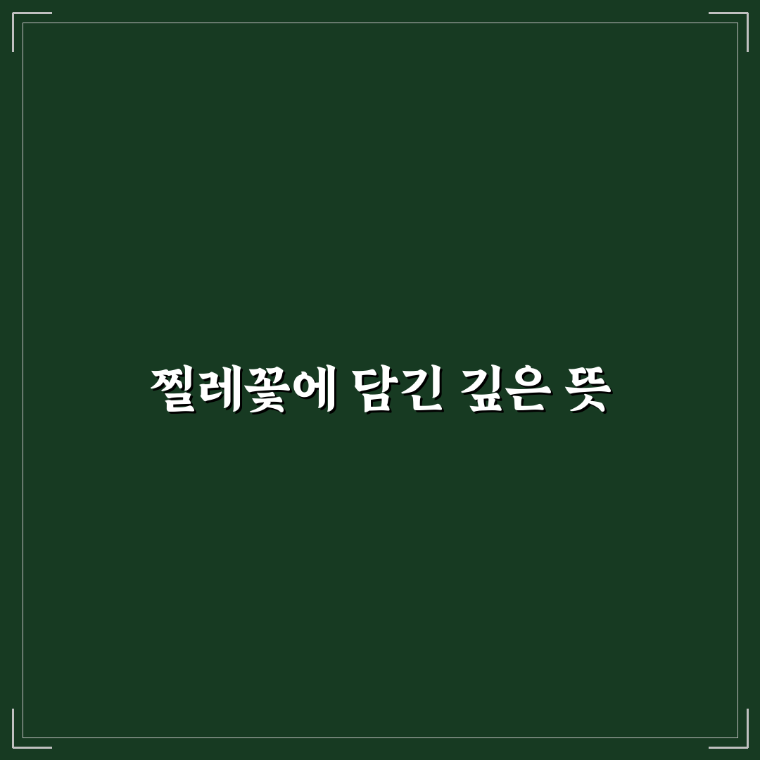 찔레꽃 꽃말과 의미 쉽게 알려드려요 정리