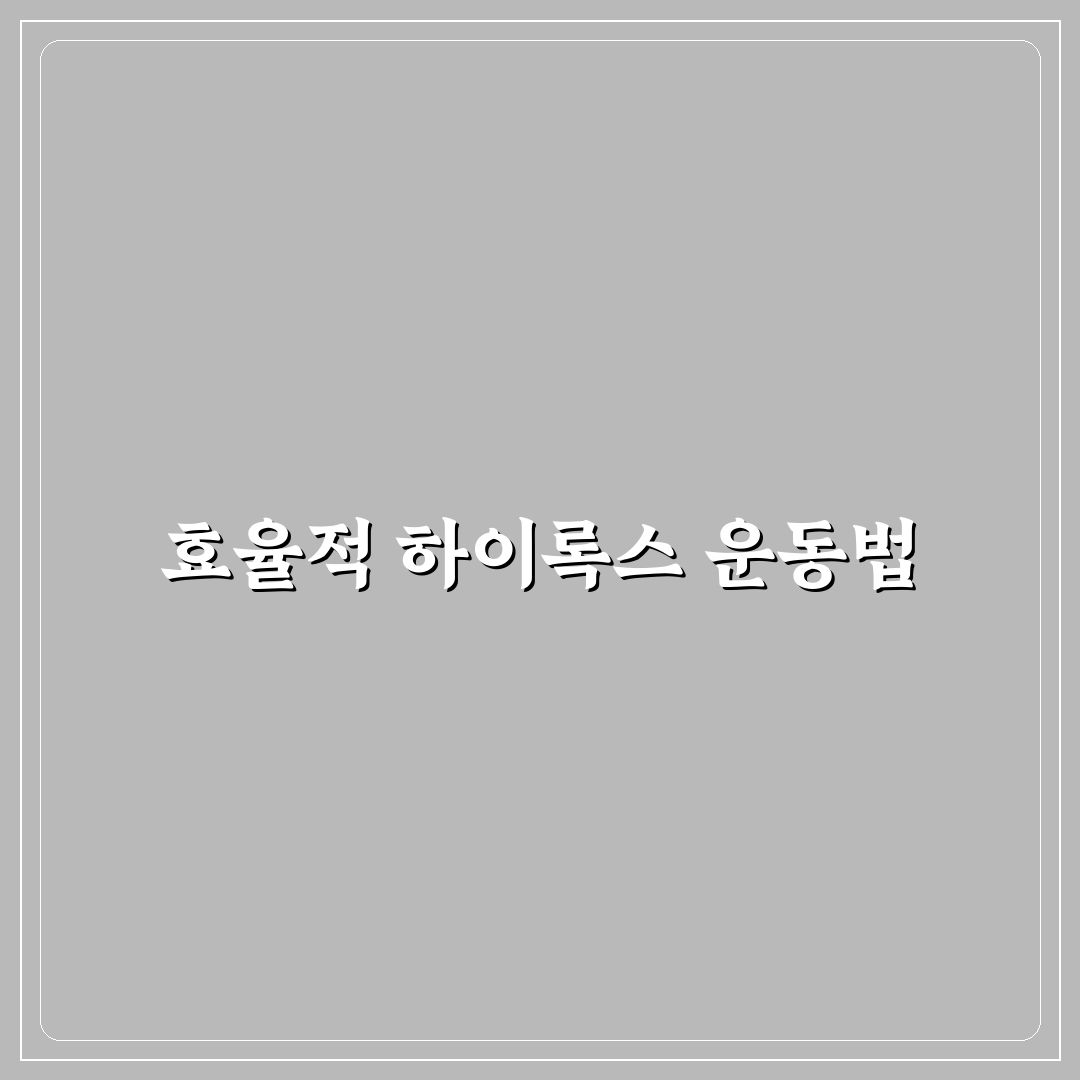 하이록스 운동 루틴 구성 꿀팁 초보자도 쉽게 따라하기
