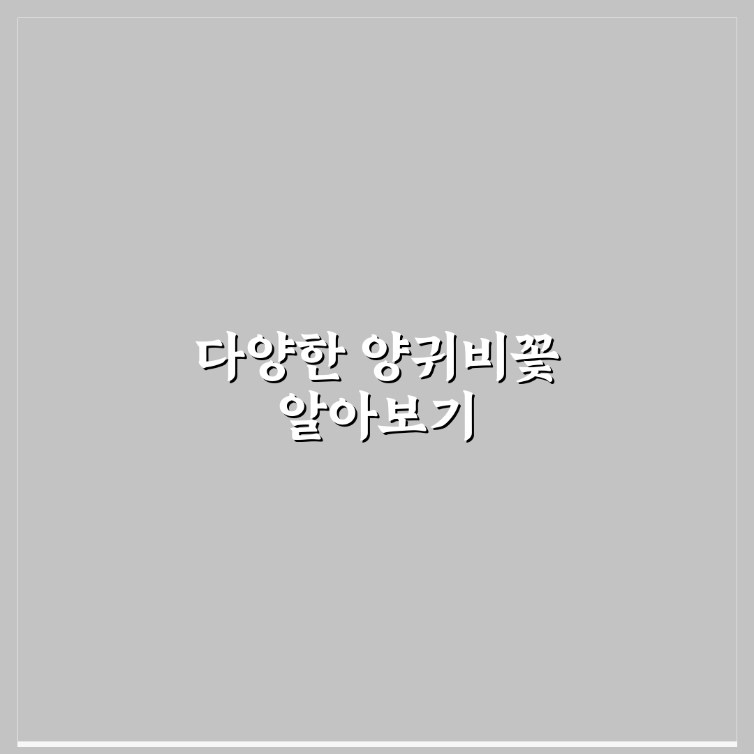 양귀비꽃 구분 방법과 특징 쉽게 알려드려요