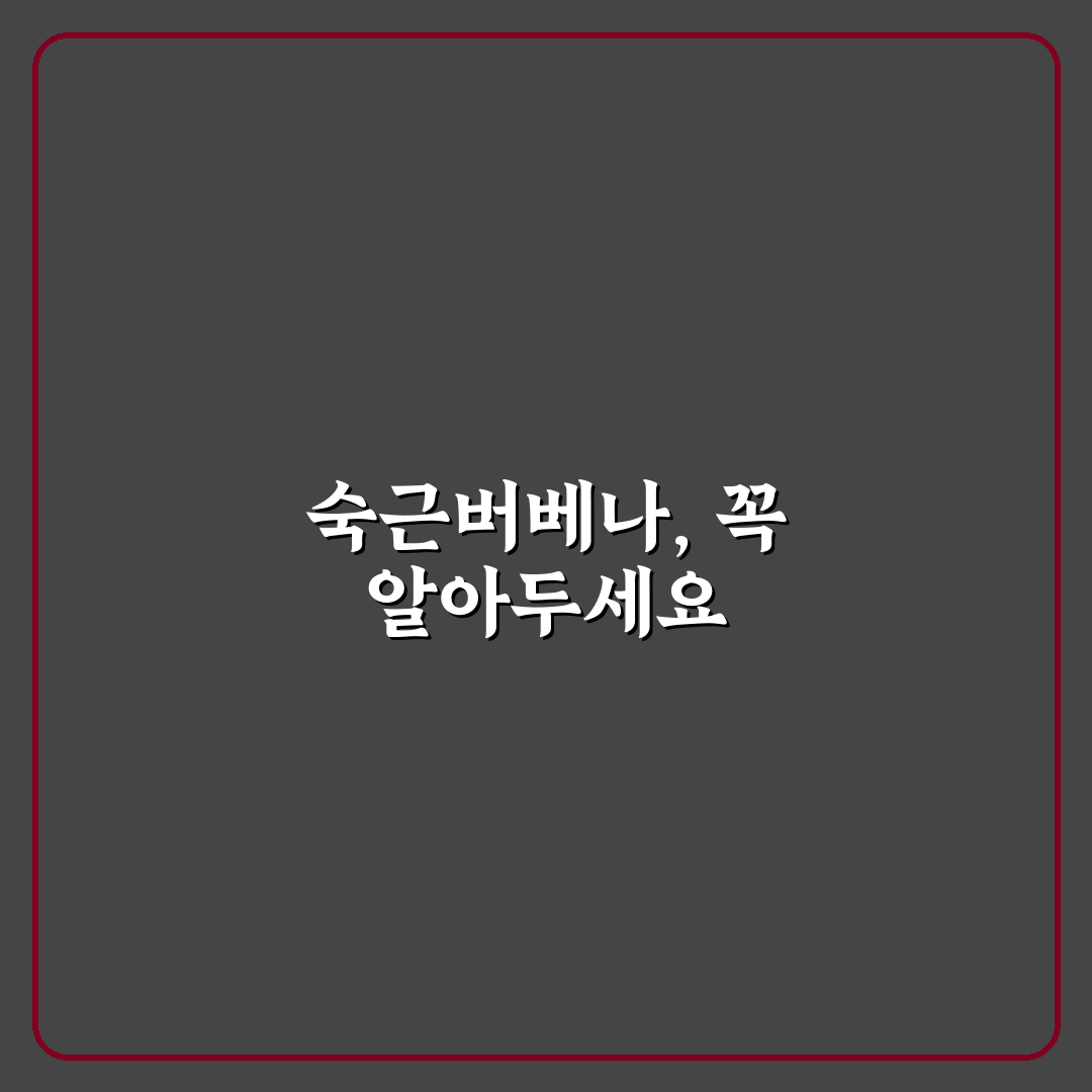 숙근버베나 키우는법 꿀팁 초보자도 쉽게 따라해요