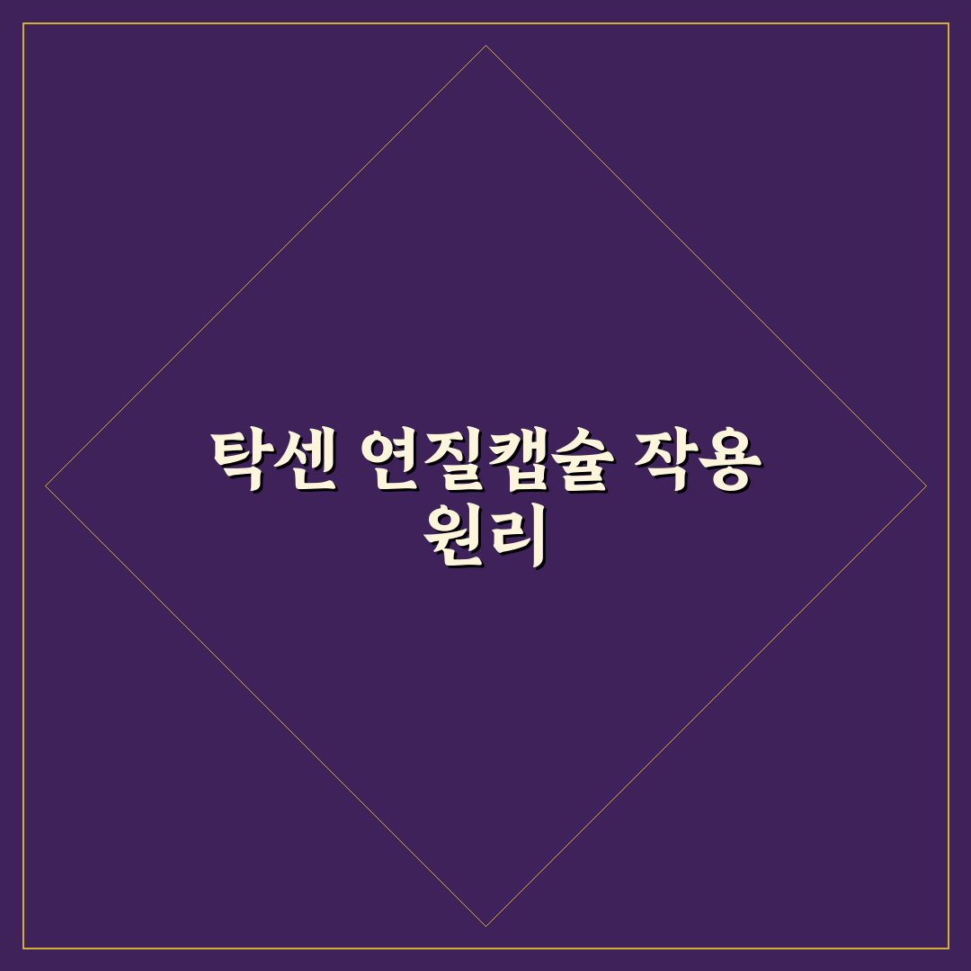 탁센 연질캡슐 효과와 복용법 쉽게 알려드려요