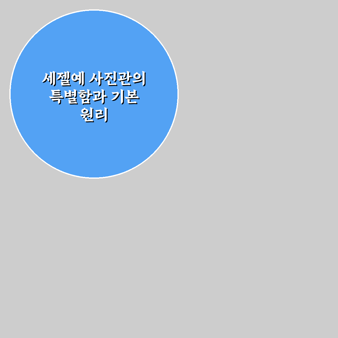 세젤예 사진관 방문 전 꼭 알아야 할 꿀팁 정리