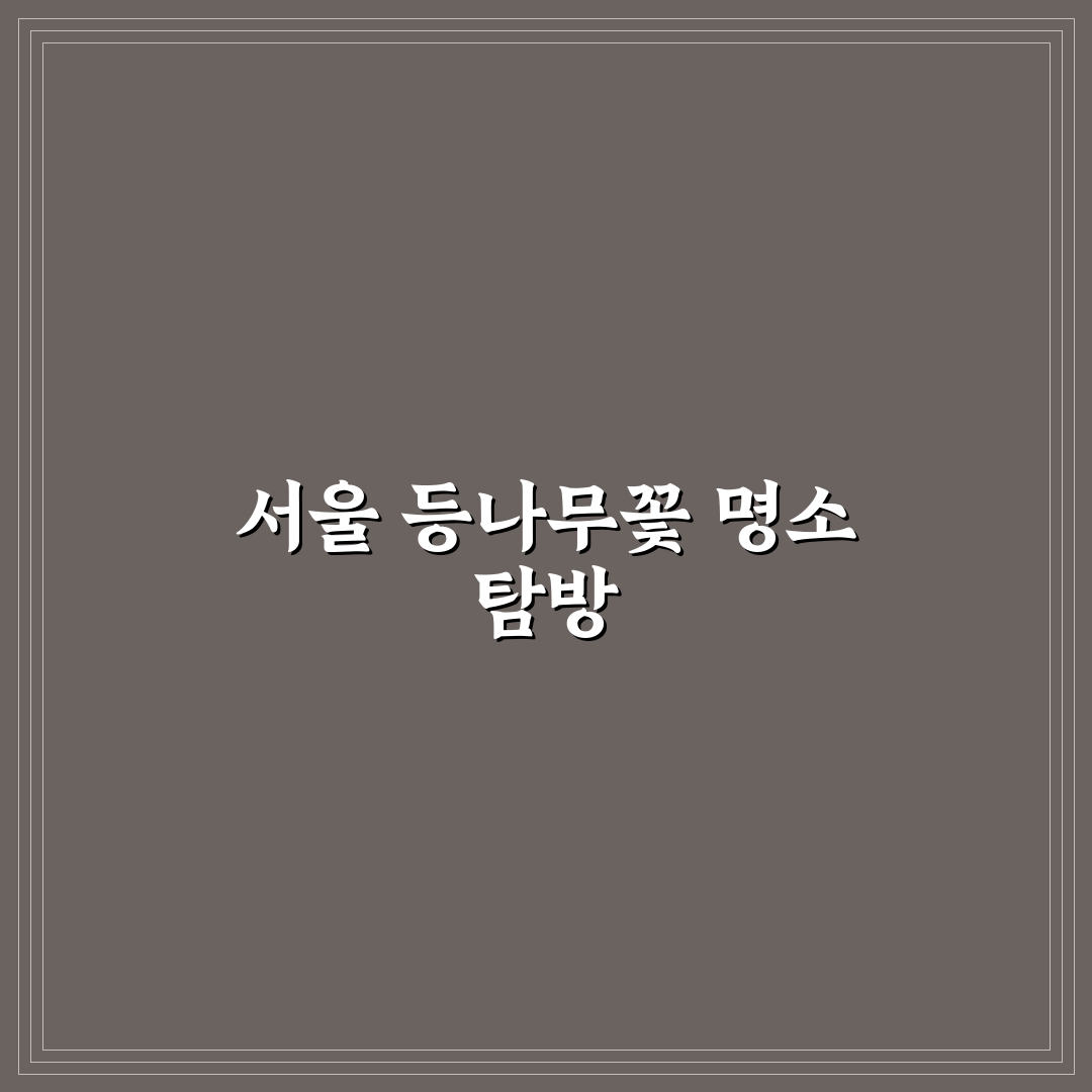서울 등나무꽃 명소 추천과 방문 꿀팁 알려드려요