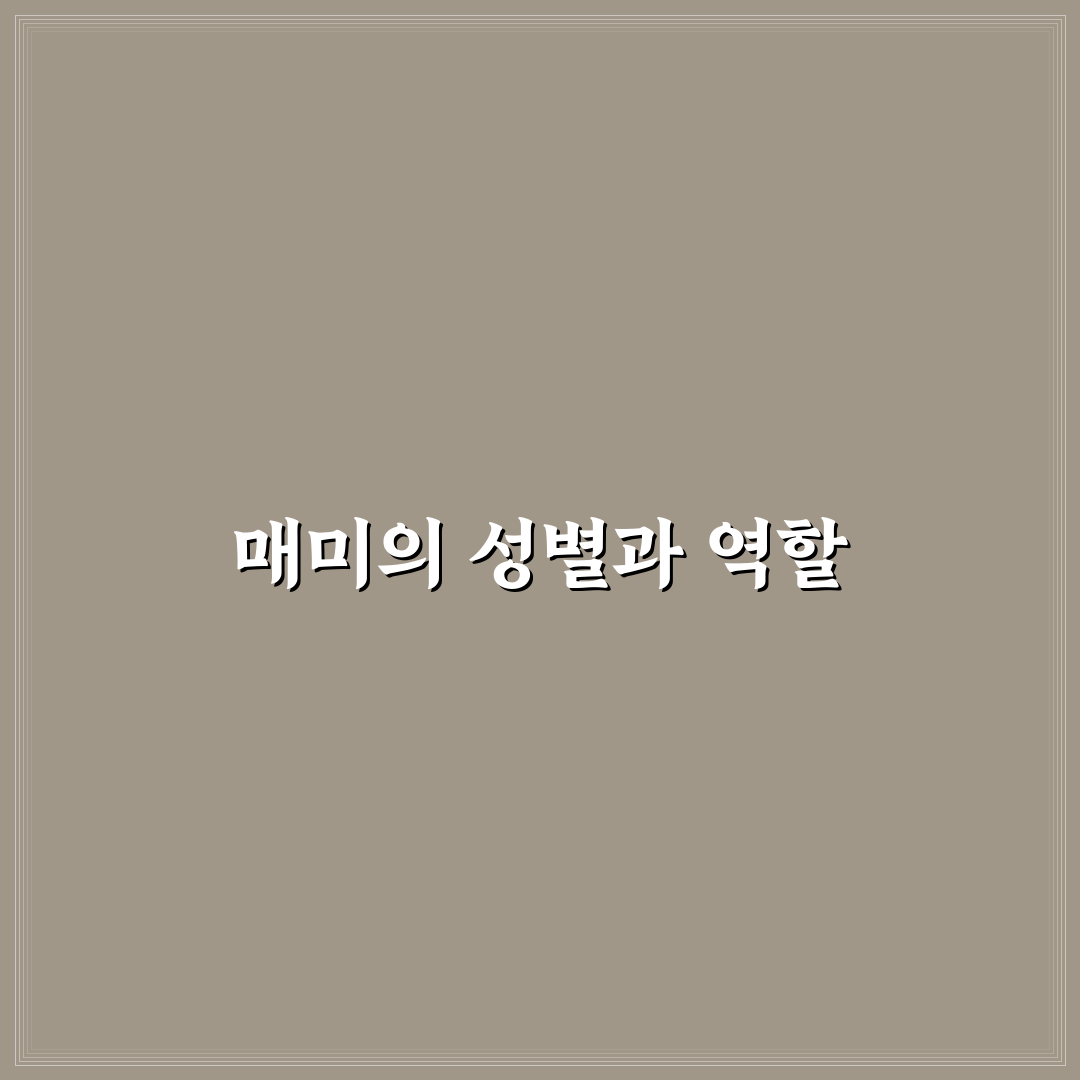 매미 남녀차이와 특징을 쉽게 알려드려요