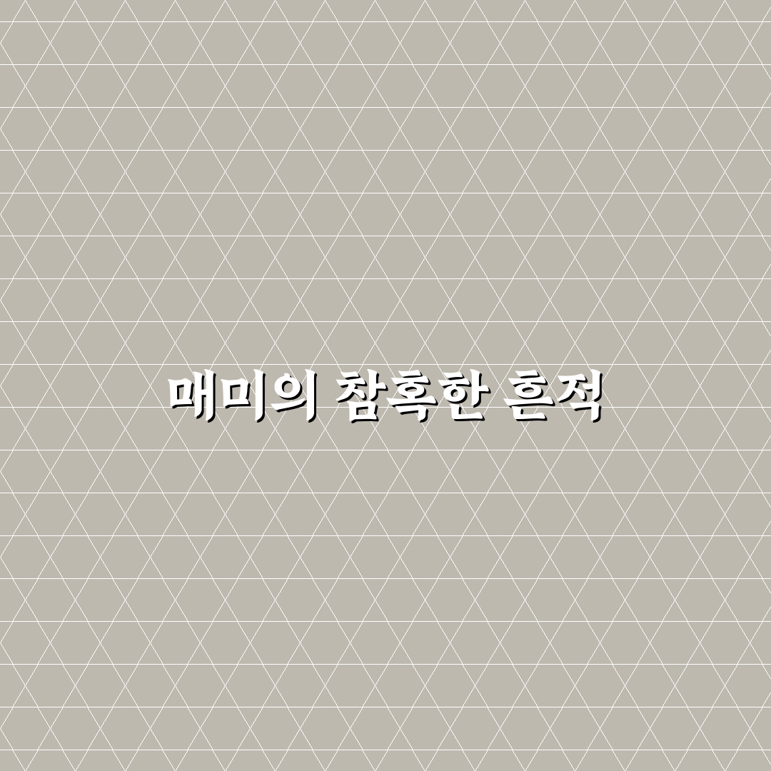 태풍 매미 마산 정보와 꿀팁 정리하기