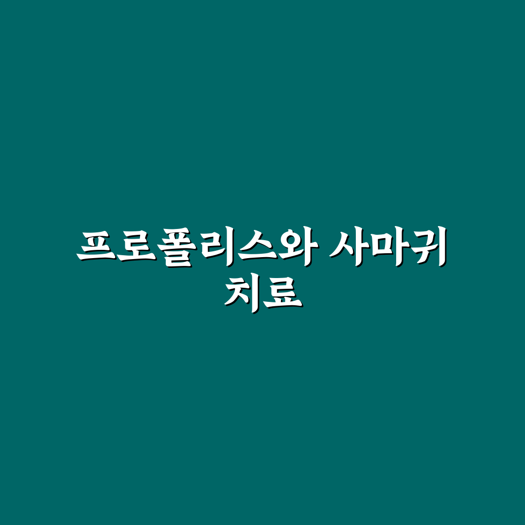 프로폴리스 편평사마귀 꿀팁과 효과 정리