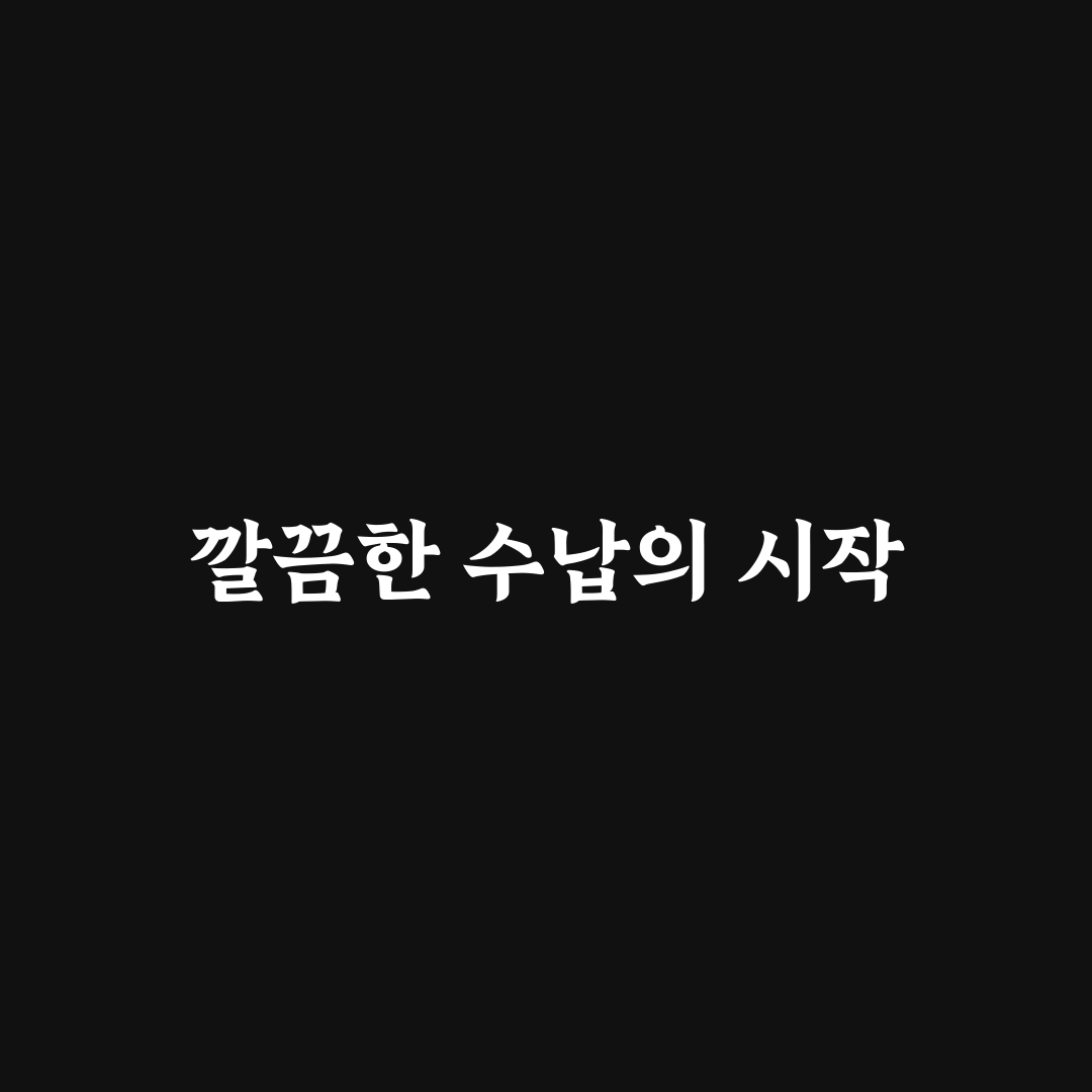 무인양품 수납박스 L 추천과 활용 꿀팁 공유