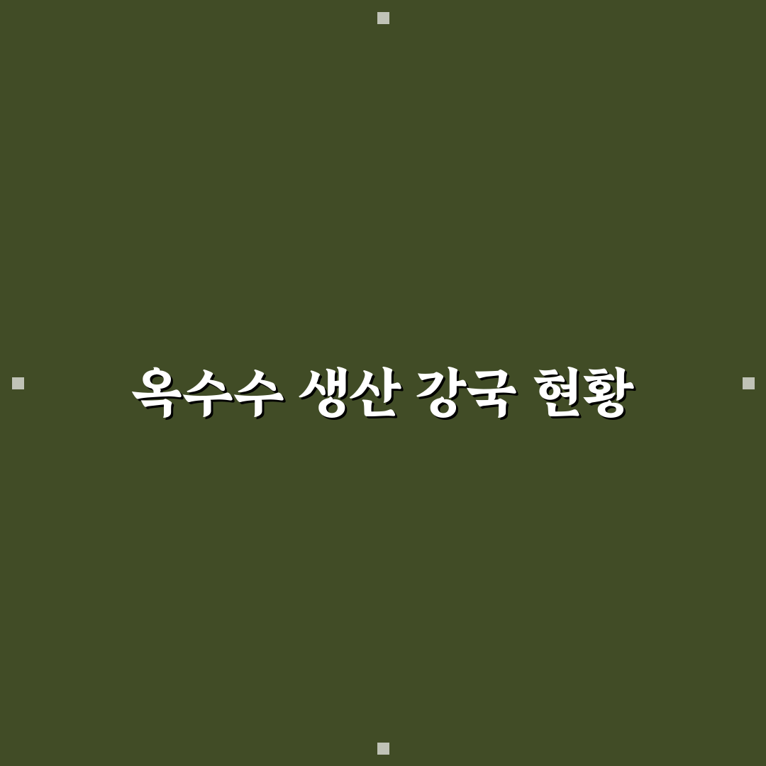 옥수수 최대 생산국에 대한 모든 정보 정리