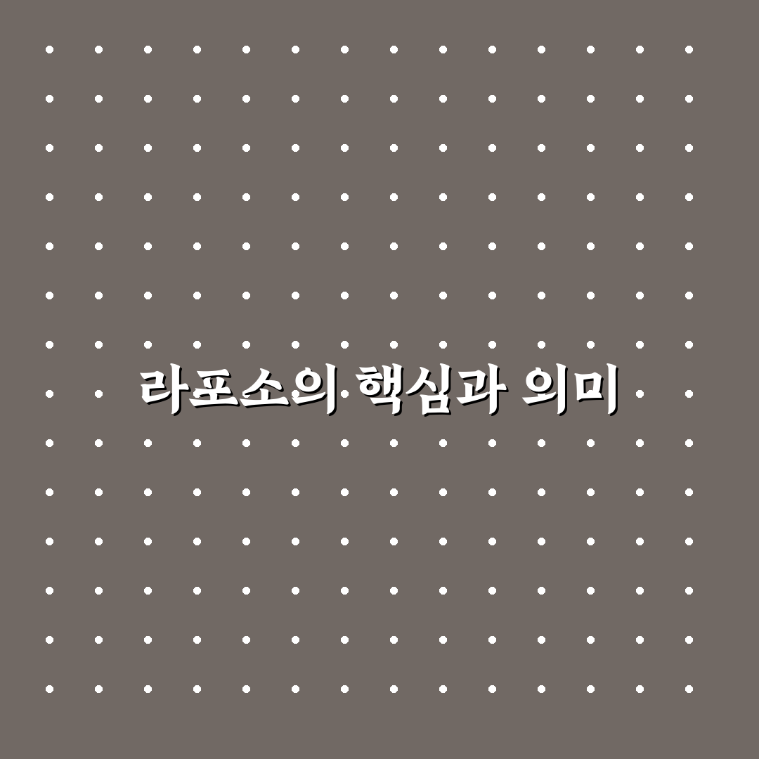 라포소 이해와 활용 꿀팁 쉽게 알려드려요