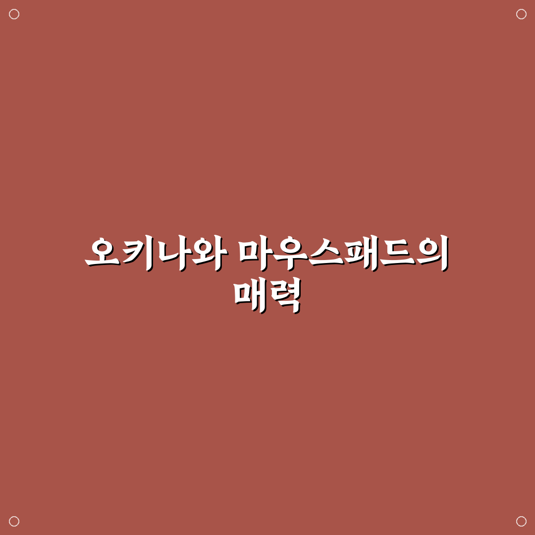 오키나와 마우스패드 추천과 사용 꿀팁 공유