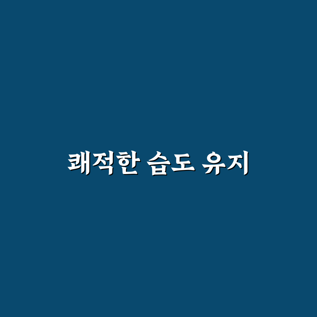 제습기 효능 꿀팁으로 집안 공기 쾌적하게 만들기
