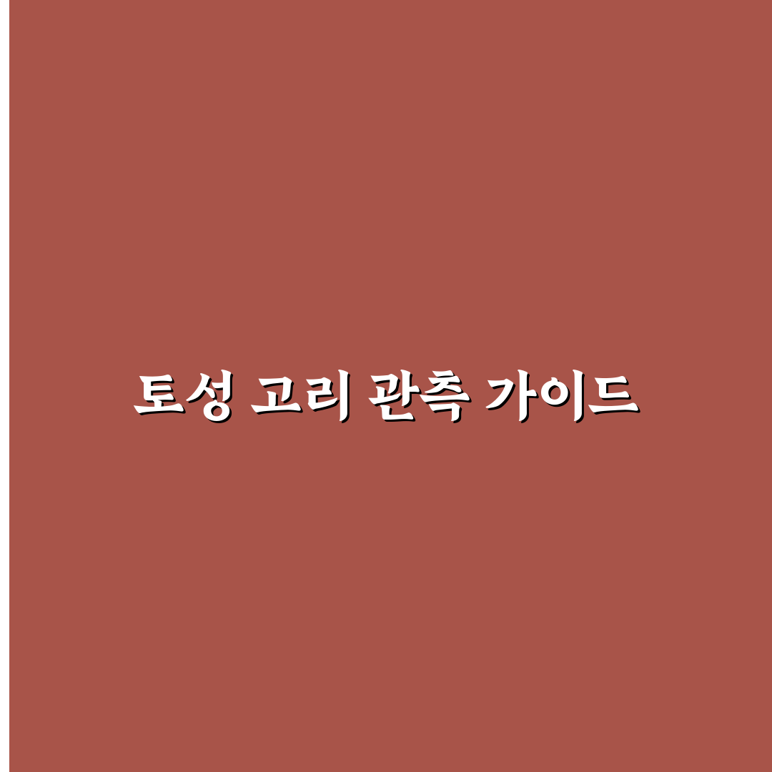 토성 고리 관측 가능 망원경 추천과 초보자 팁 정리