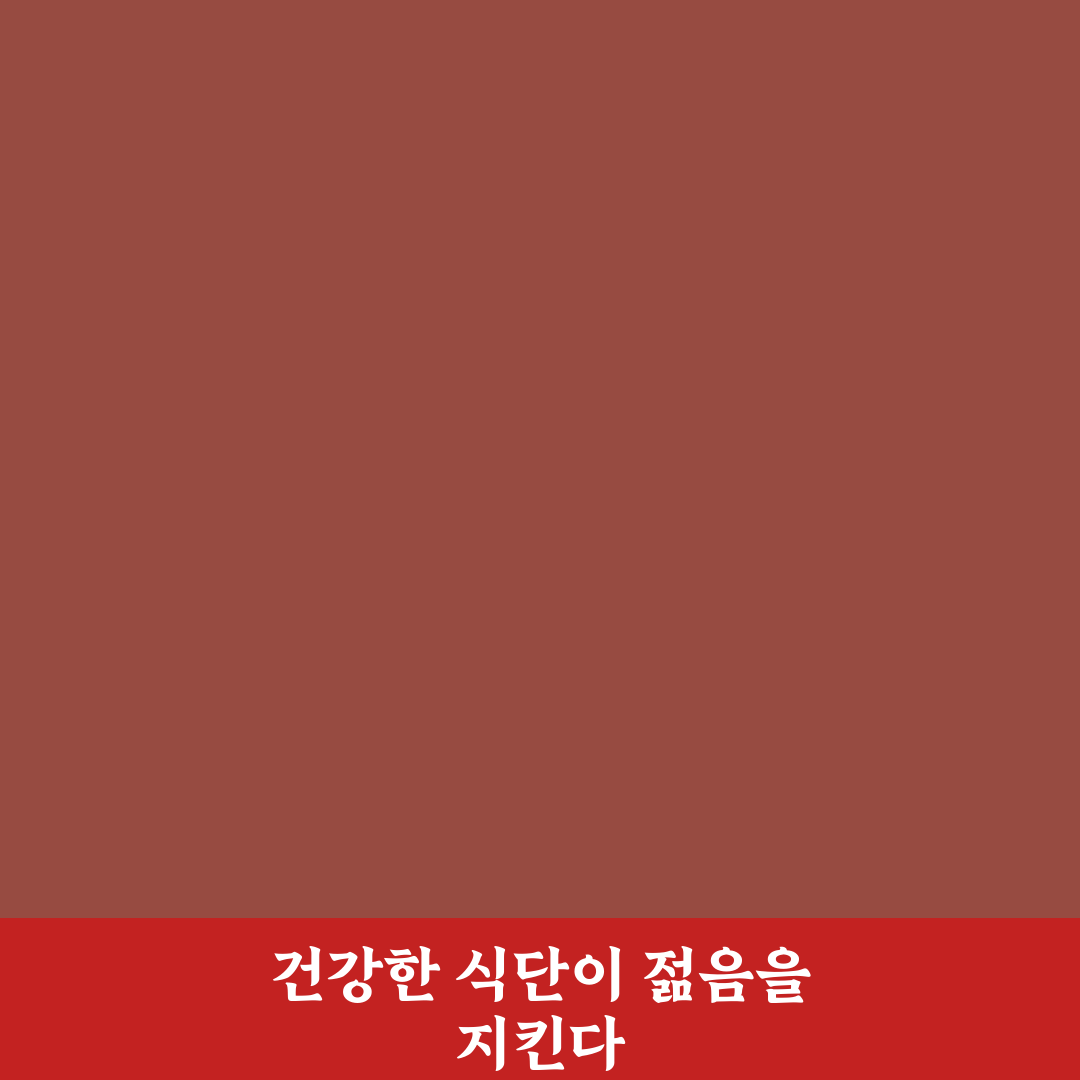 저속 노화 식단 레시피 추천과 건강한 식사 꿀팁