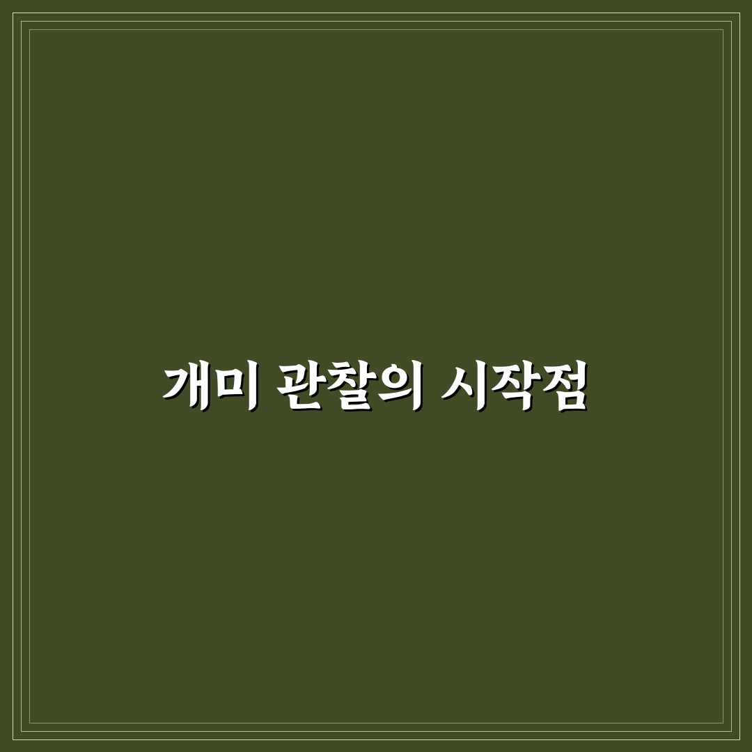 개미 관찰 키트 사용법과 초보자 꿀팁 정리