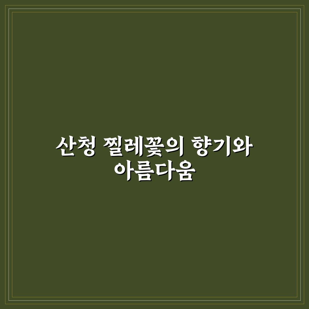 산청 찔레꽃 축제 즐기는 방법과 꿀팁 알려드려요