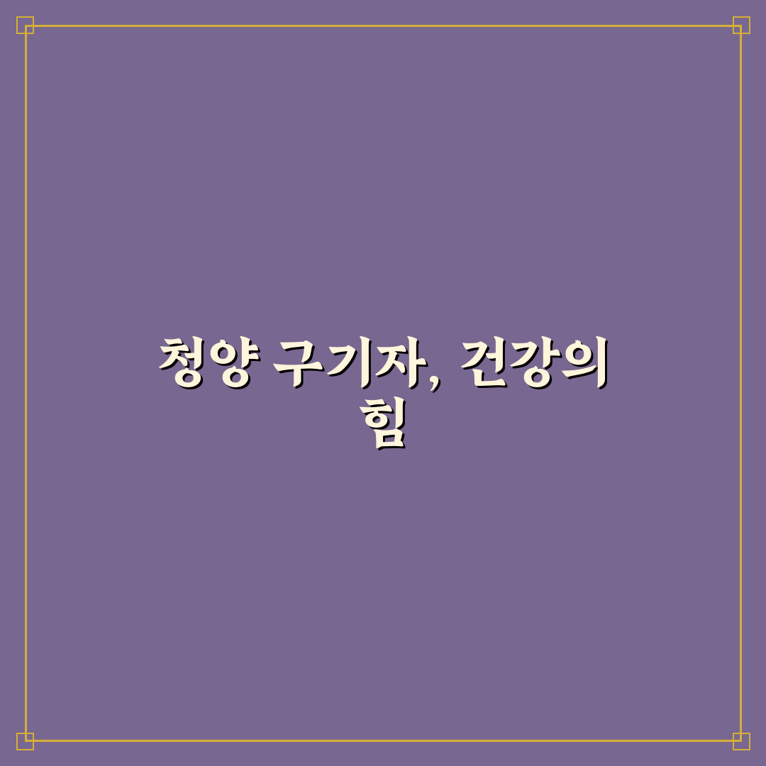 청양 구기자 분말 선택과 활용 꿀팁 알려드려요