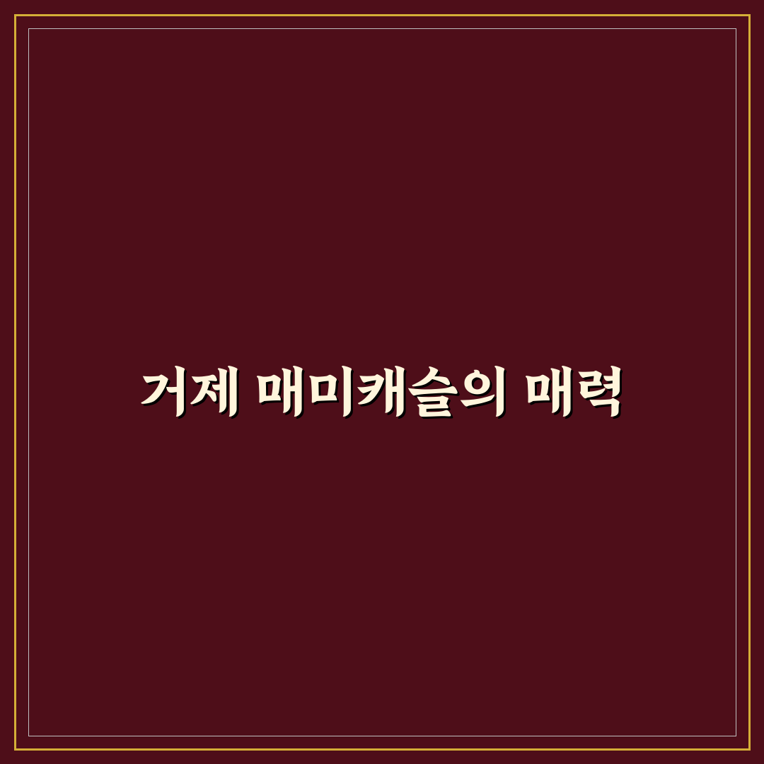 거제 매미캐슬 방문 꿀팁과 추천 포인트 정리