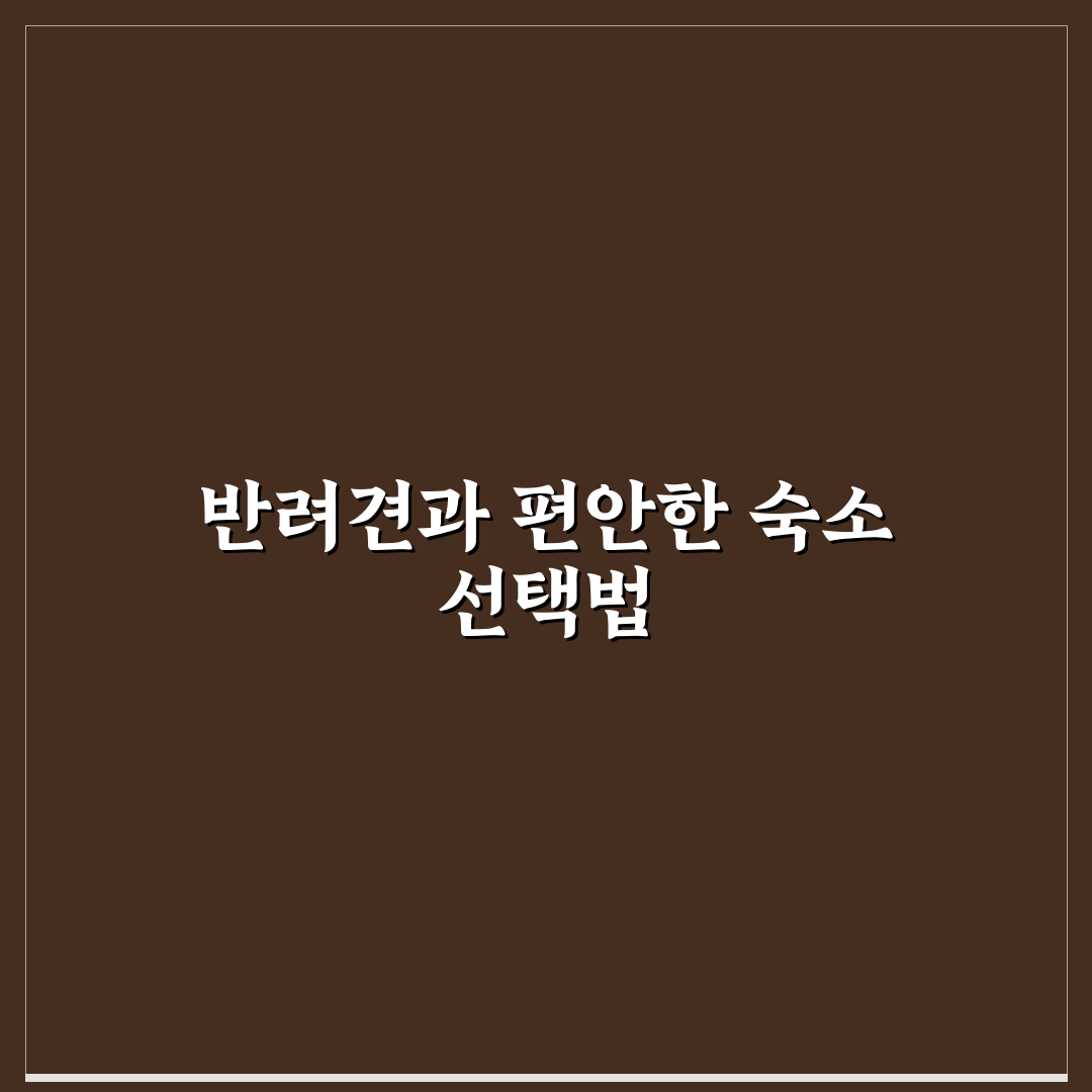 반려견 동반 호텔 리스트와 꿀팁 함께 알려드려요