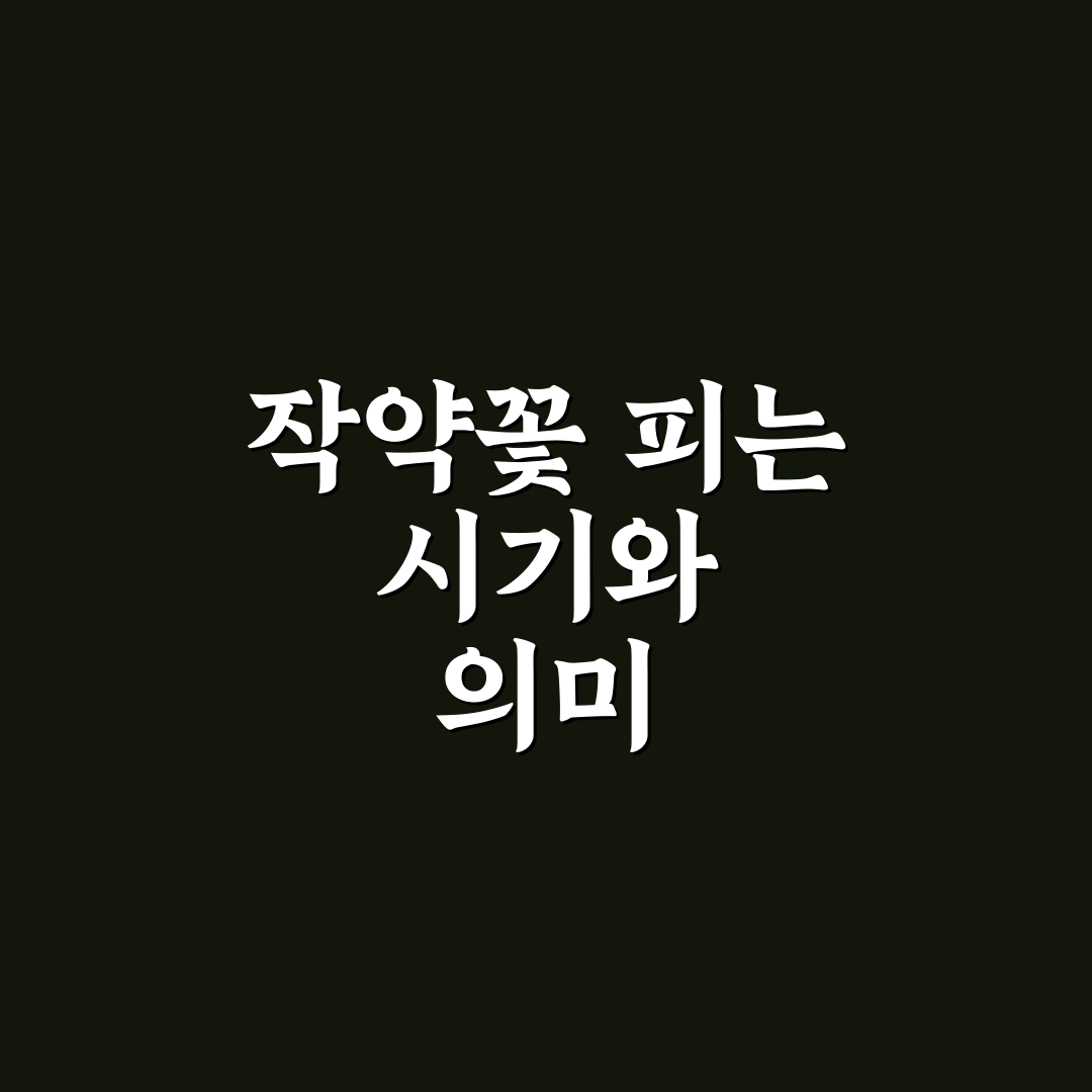 작약꽃 시기 알아두면 좋은 꿀팁과 개화 시기 정리