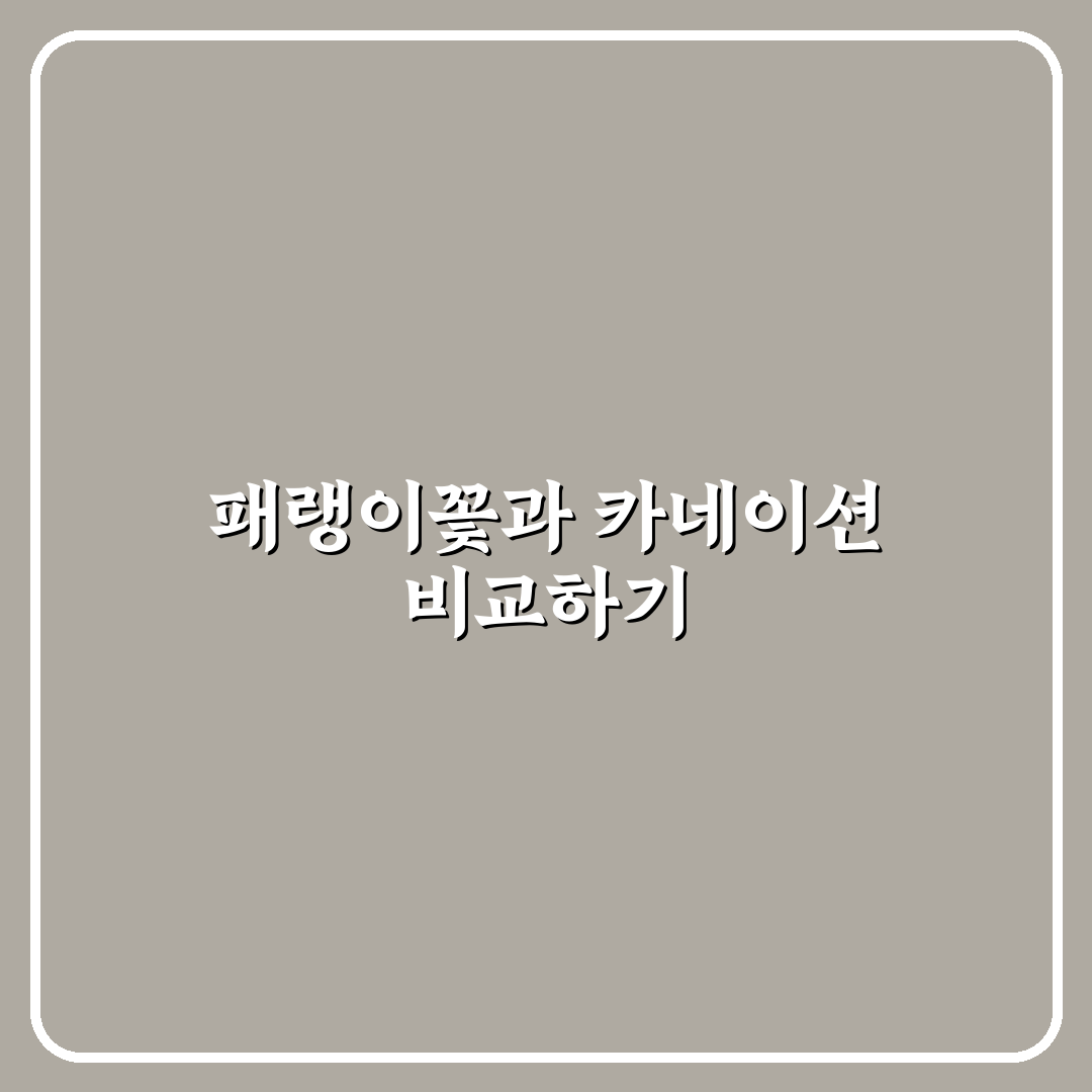 패랭이꽃 카네이션 차이 쉽게 비교해 알려드려요