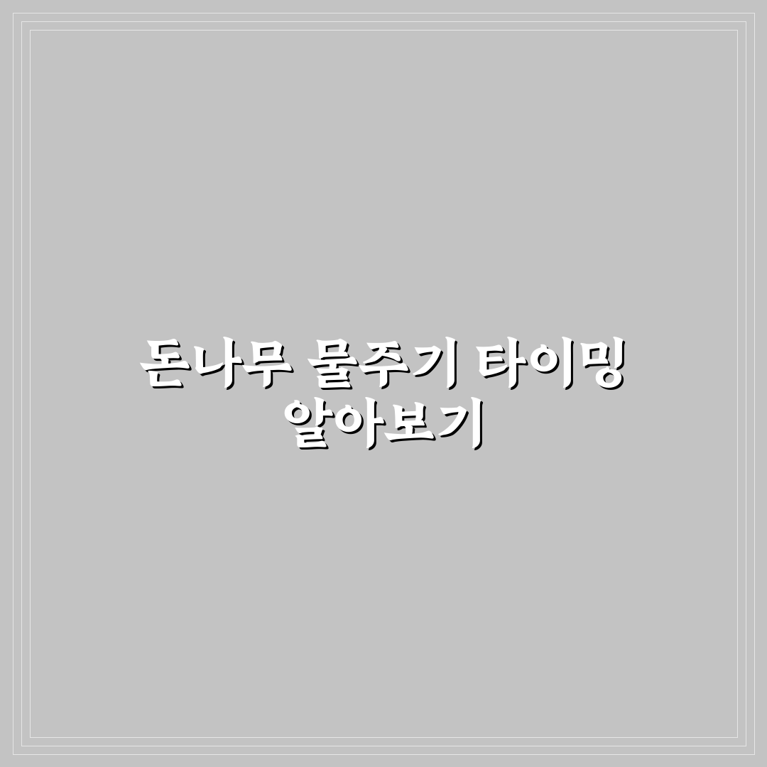 돈나무 물주는 시기와 방법 꿀팁 쉽게 알려드려요