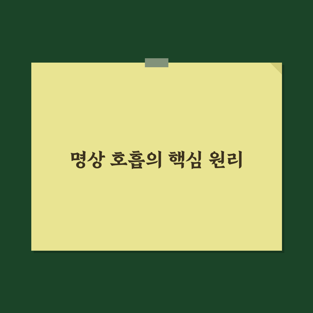 명상 호흡법 초보자 가이드 기본 방법과 꿀팁 알려드려요