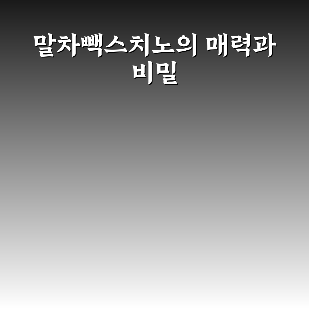 말차빽스치노 즐기는 방법과 추천 꿀팁 정리