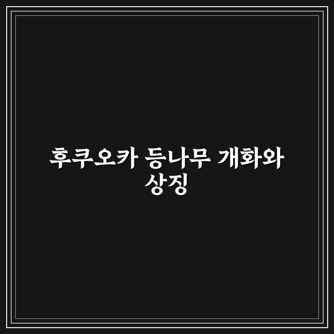후쿠오카 등나무 시기와 개화 특징 꿀팁 알려드려요