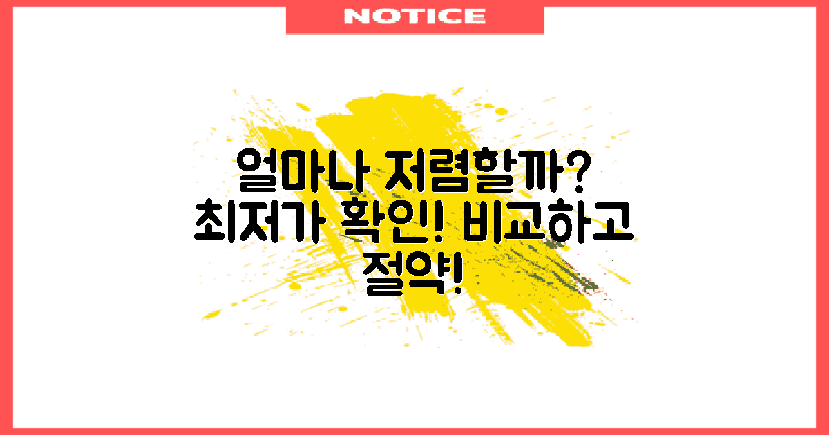 얼마나 저렴하게 이용할 수 있을까?