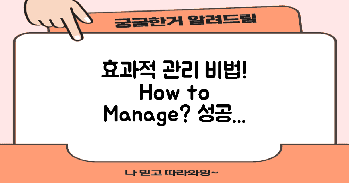 어떻게 효과적으로 관리할까?