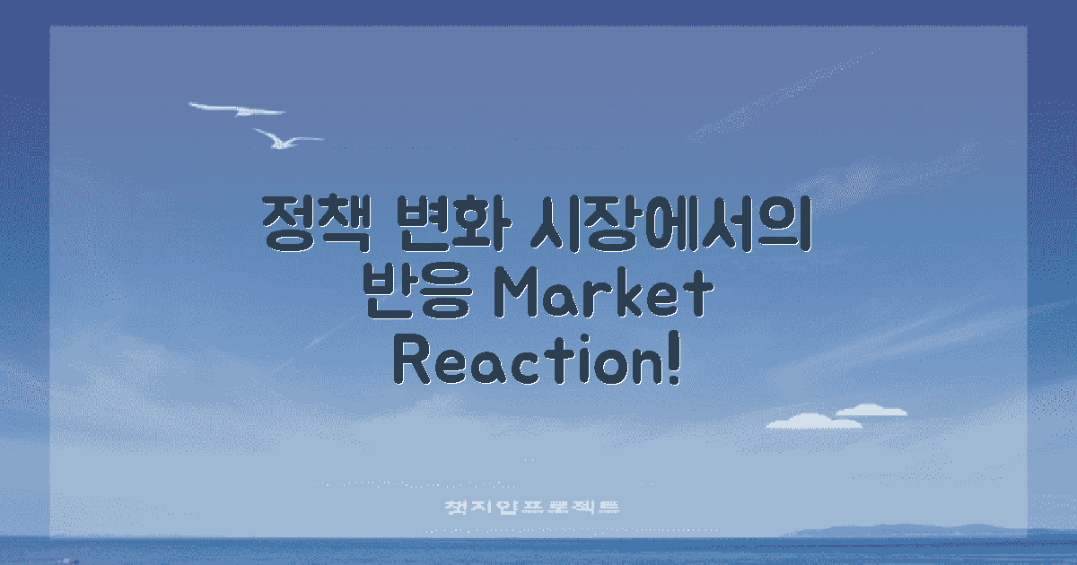 정책 변화와 시장 반응