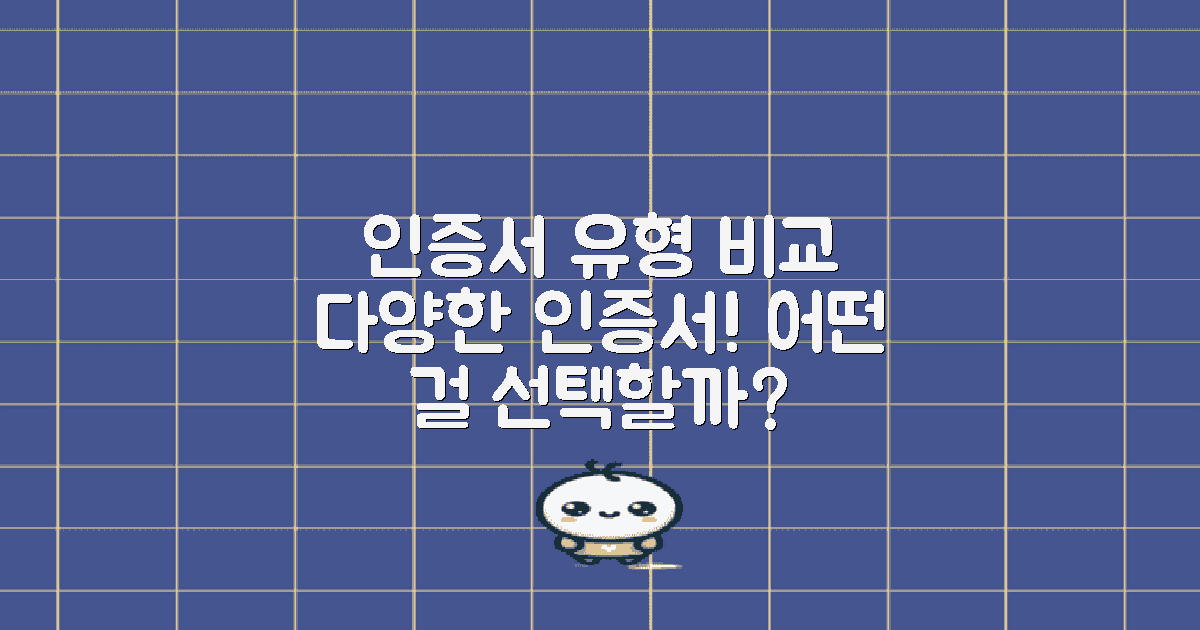 인증서 유형별 비교