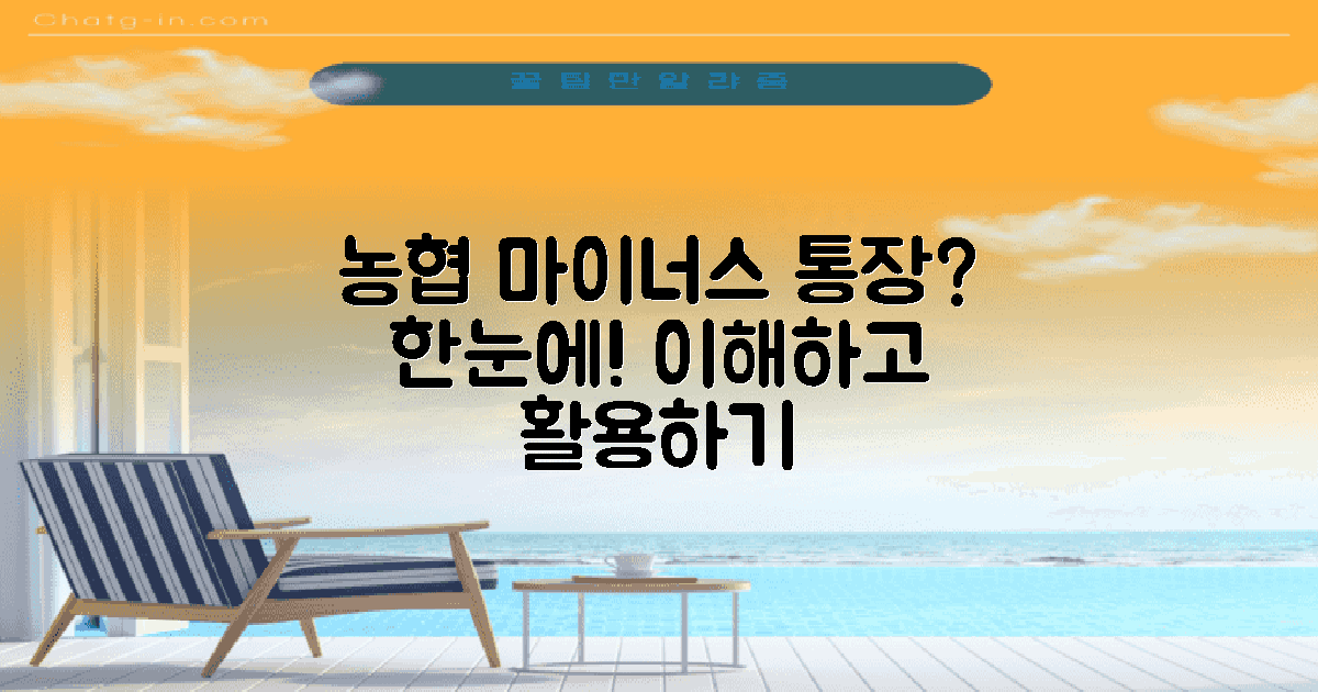 농협 마이너스통장 이해하기