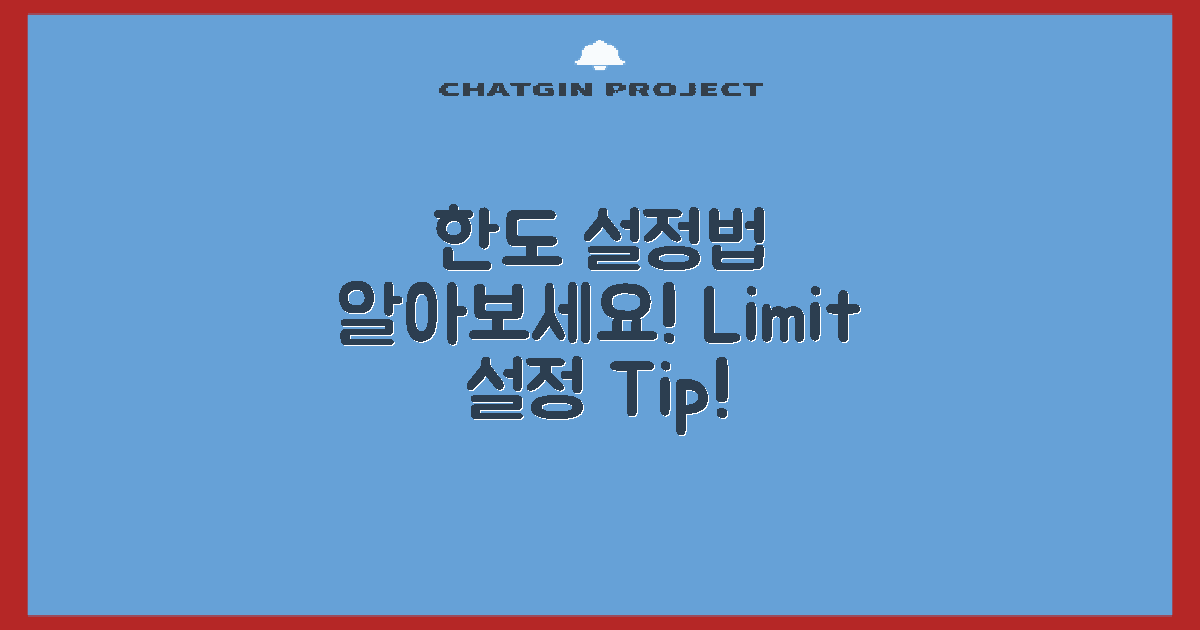 한도 설정 방법 알아보세요