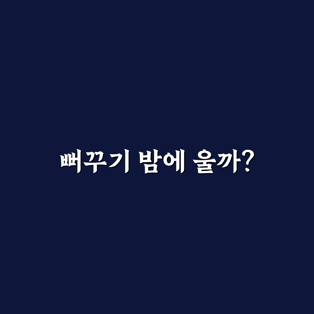 뻐꾸기도 밤에 우는가 보러가기 꿀팁과 함께 알려드려요