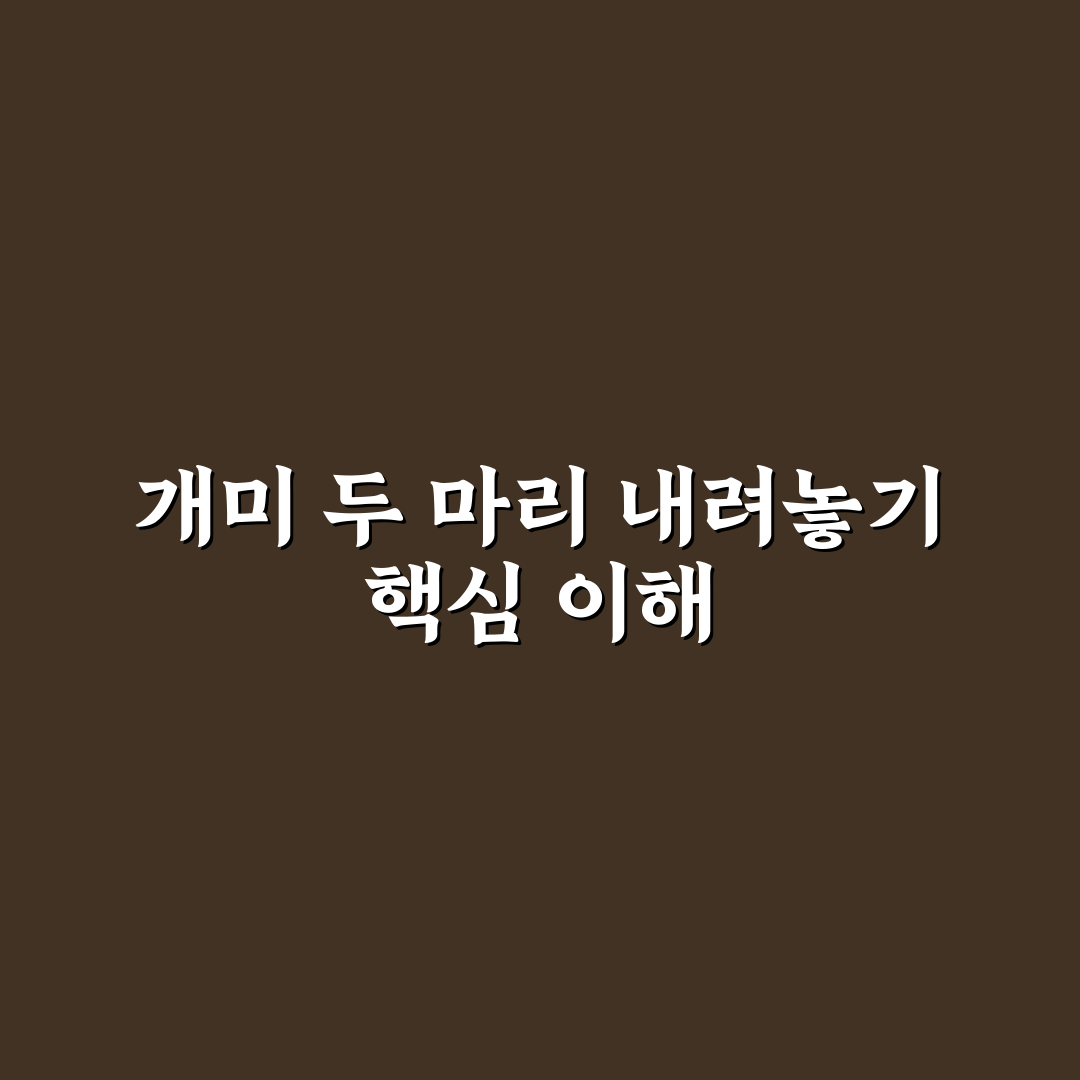 개미두마리 내려놓기 방법과 꿀팁 쉽게 알려드려요