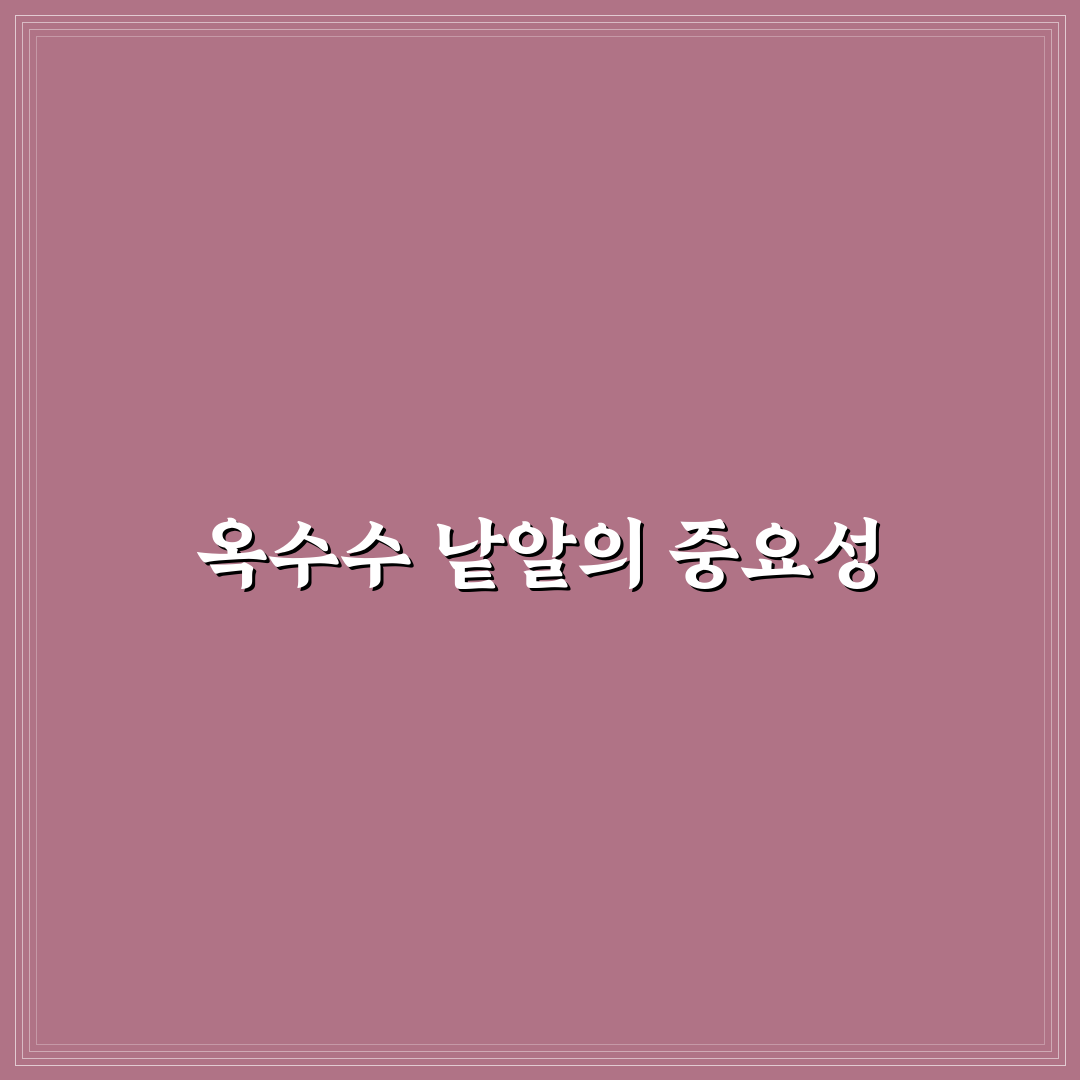 옥수수 낱알 꿀팁으로 맛있게 즐기는 방법