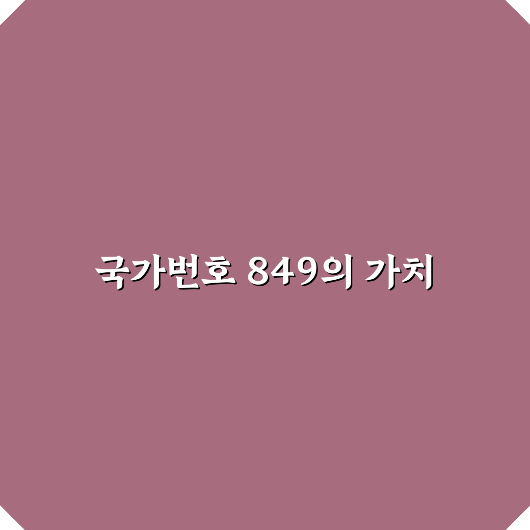 국가번호 849에 대한 모든 정보 정리해드려요