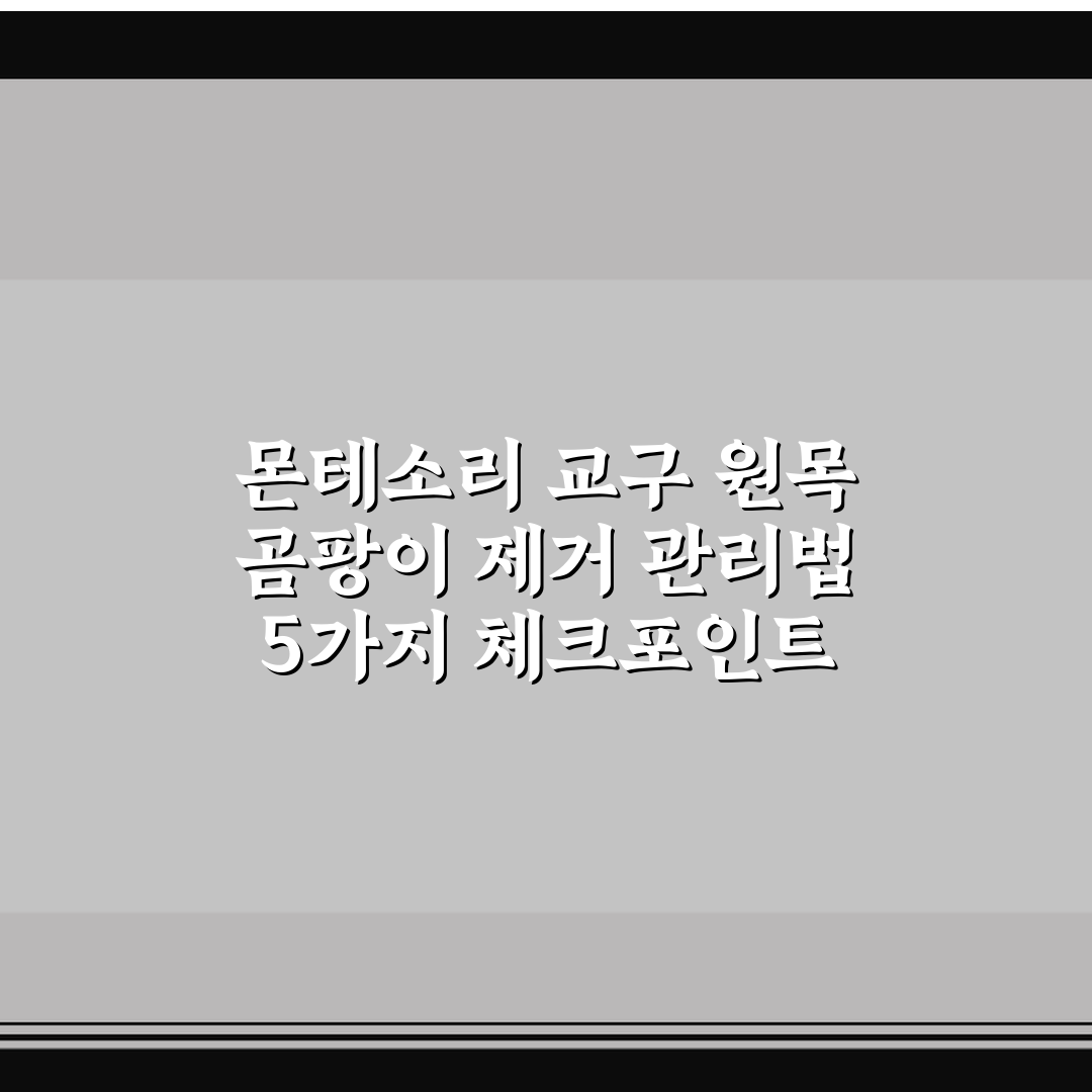 몬테소리 교구 원목 곰팡이 제거 관리법 5가지 체크포인트 총정리