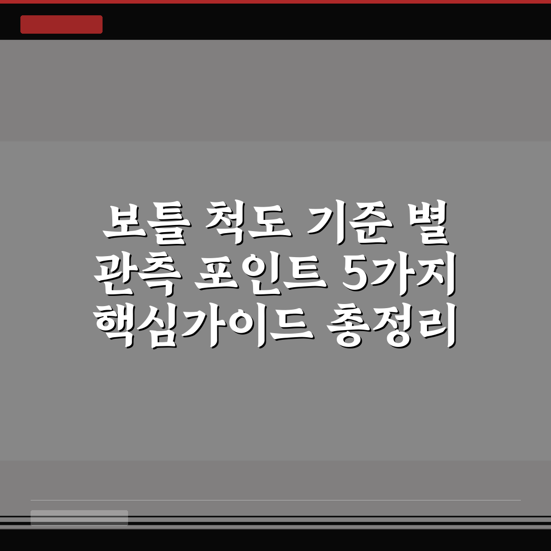보틀 척도 기준 별 관측 포인트 5가지 핵심가이드 총정리