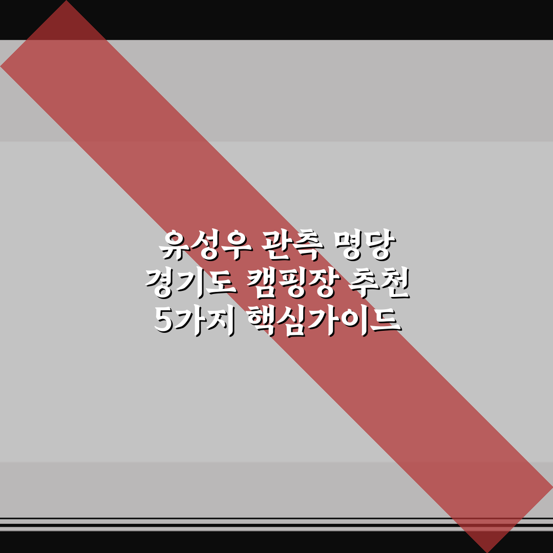 유성우 관측 명당 경기도 캠핑장 추천 5가지 핵심가이드 비교 분석