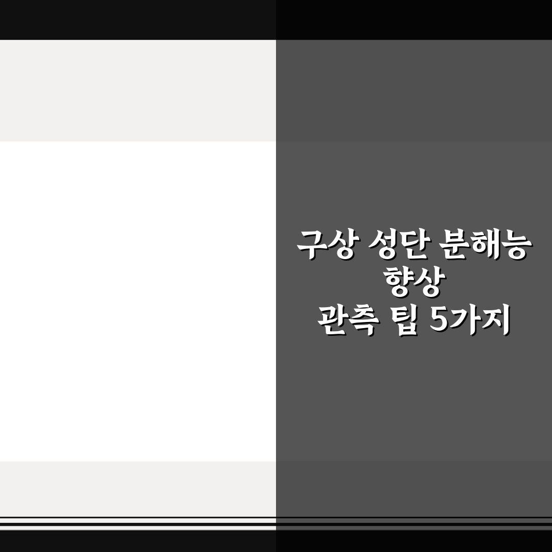 구상 성단 분해능 향상 관측 팁 5가지 핵심가이드 비교와 판단 기준